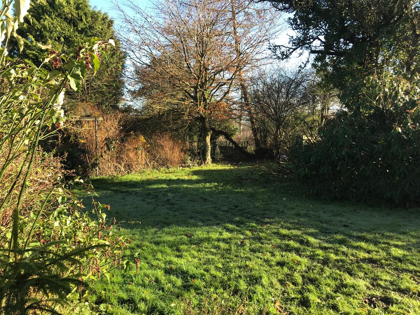 GROUNDS